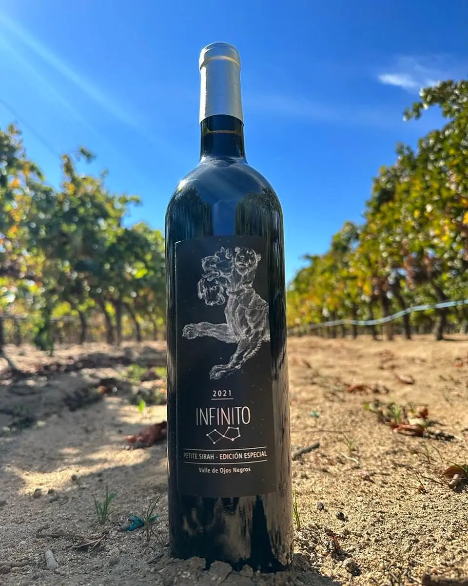 Botella de INFINITO Petite Sirah Edición Especial 2021 entre las vides