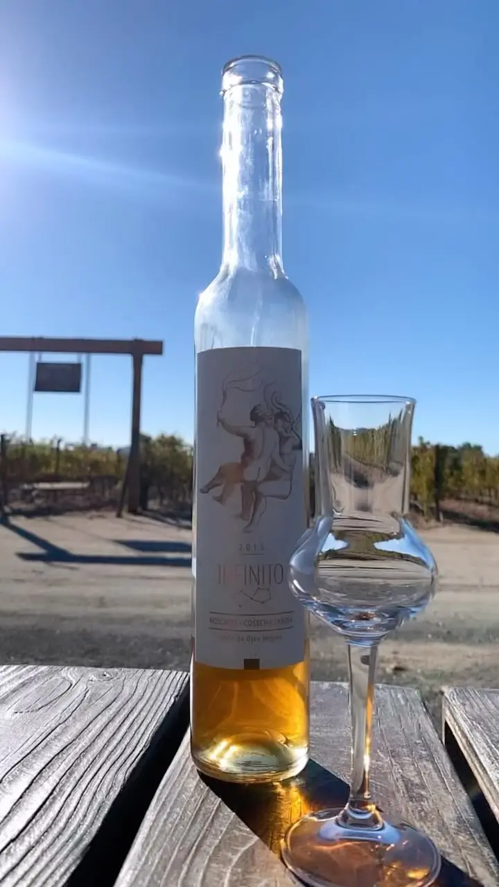 Botella de vino blanco de Vinícola Infinito junto a una copa catavinos sobre una mesa de madera