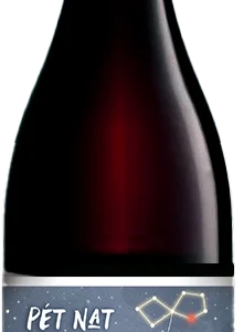 PET NAT Tinto Malbec